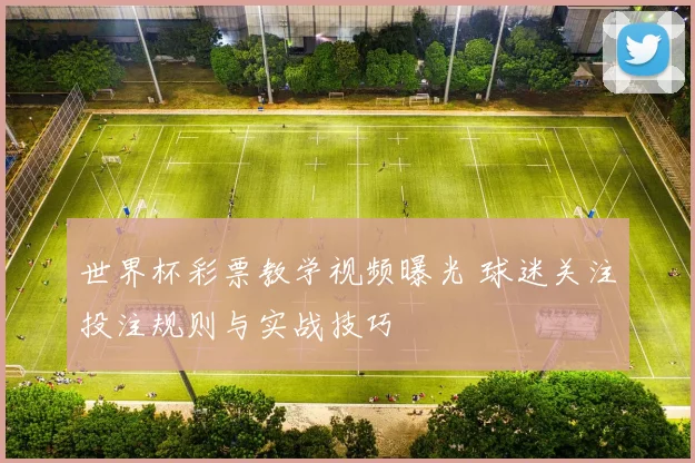 世界杯彩票教学视频曝光 球迷关注投注规则与实战技巧