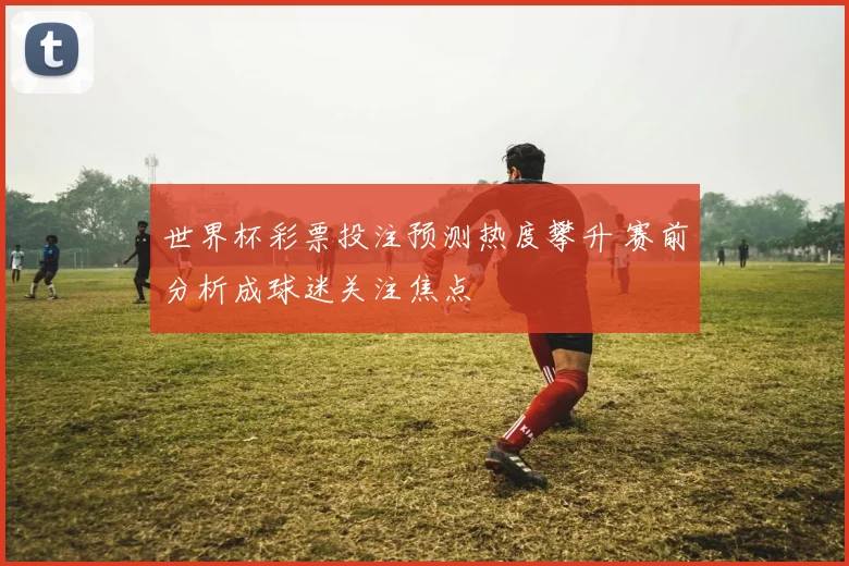 世界杯彩票投注预测热度攀升 赛前分析成球迷关注焦点